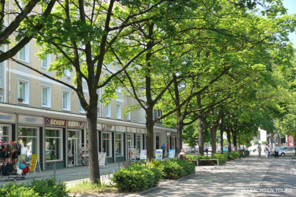 Borsbergstraße in Dresden
